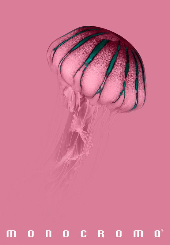 Maxiquaderno Monocromo Pink - rigatura 0C