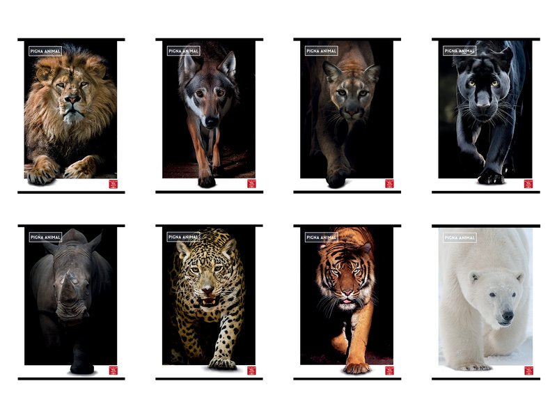 Maxi Quaderno Pigna Animal  - 0A - Righe 1a e 2a elementare