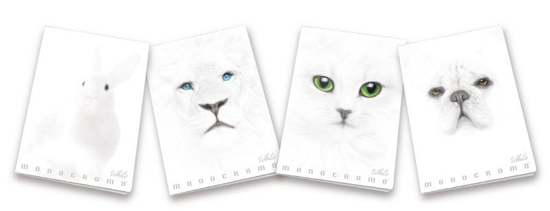 Maxiquaderni Monocromo White  - Rigatura 1R - Righe medie e superiori - 100 g - copertine assortite