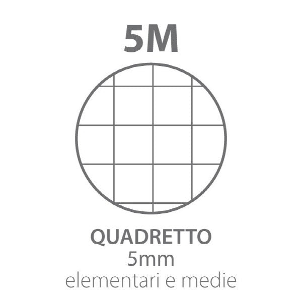 Maxiquaderni skip Monocromo  - Rigatura 5M - Quadretto elementari e medie - 80 g - copertine assortite
