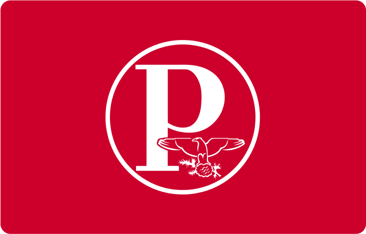 Pigna